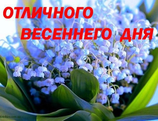 Хорошего воскресенья Весна