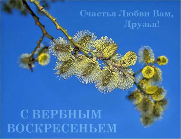 Вербна неділя открытки