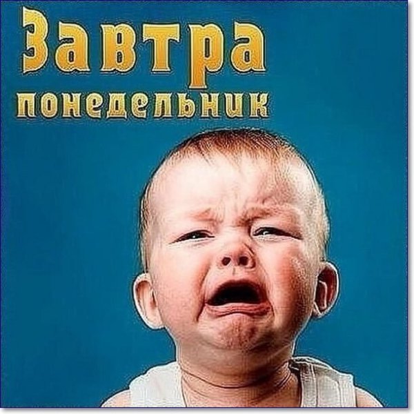 Завтра понедельник