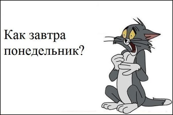 Завтра опять понедельник