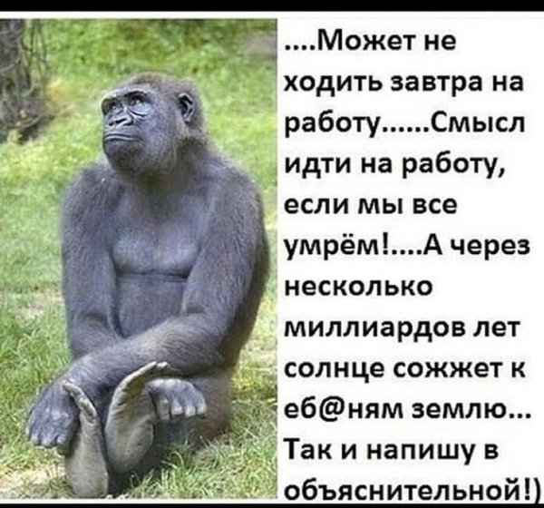 Завтра на работу прикольные