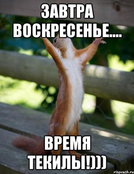 Завтра воскресенье завтра выходной