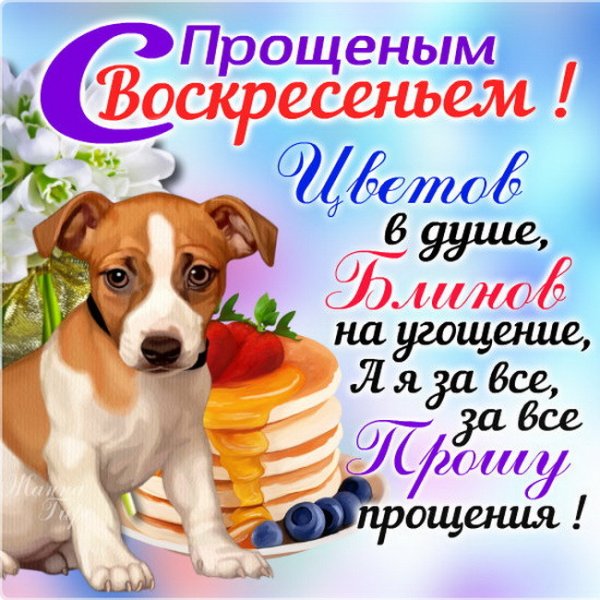 С Вербным воскресеньем открытки