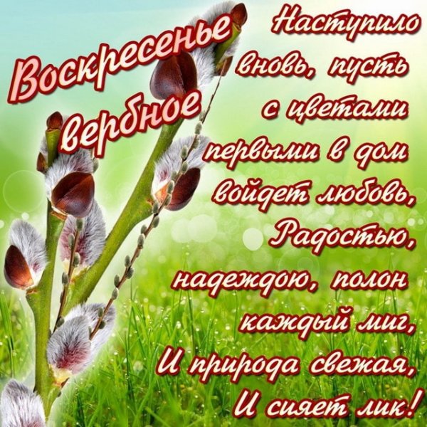 С Вербным воскресеньем открытки