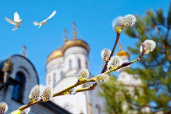 Верба Церковь Вербное Воскресение