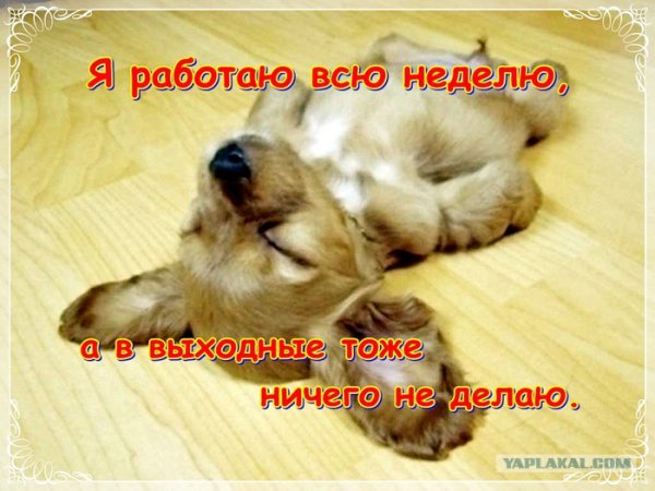 Шутки про воскресенье