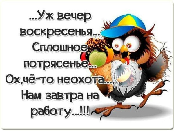 Стих про воскресенье