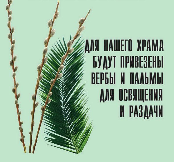 Пальмовые ветви на Вербное воскресенье