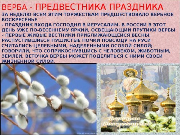 Вербное воскресенье приметы
