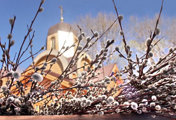 С Вербным воскресеньем Верба и храм