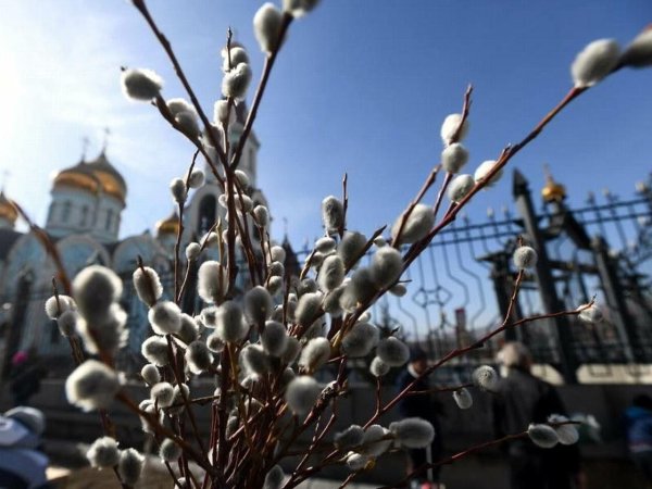 Вербное воскресенье Вилкова