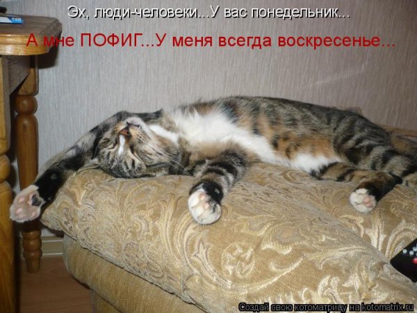 Воскресенье картинки прикольные
