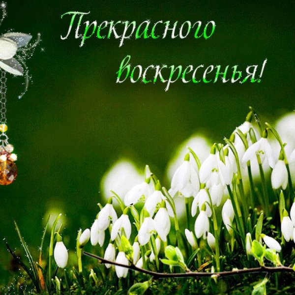 Открытка счастливого воскресенья