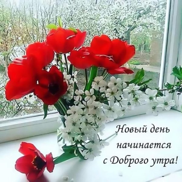 Здравствуй, новый день!