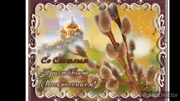 С Вербным воскресеньем открытки
