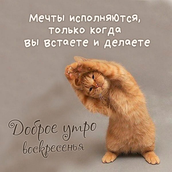 Доброе Воскресное утро прикольные