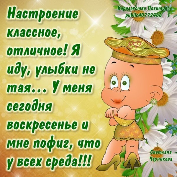 Королевство позитива
