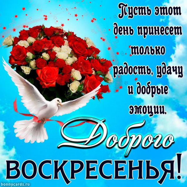Красивые пожелания в воскресенье