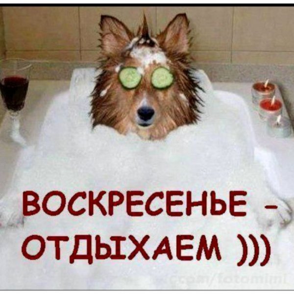 Воскресенье картинки прикольные