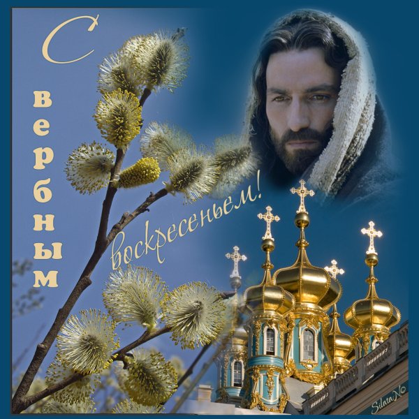С Вербным воскресеньем открытки