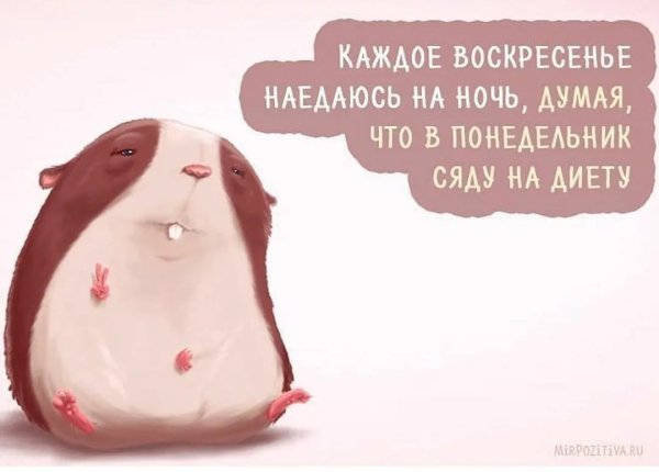 С воскресеньем с юмором