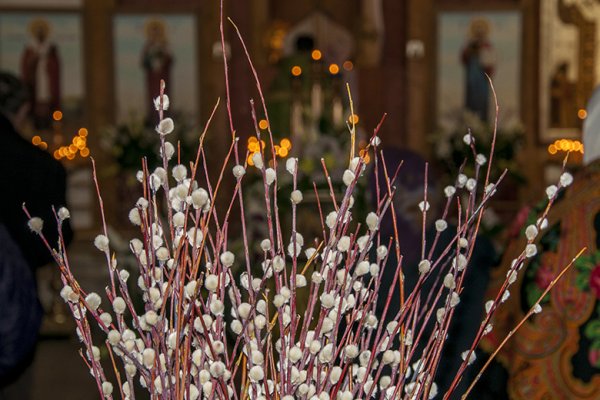 Седмица ваий