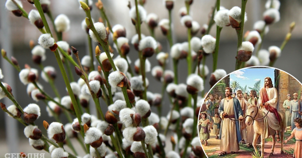 С Вербным воскресеньем красивые