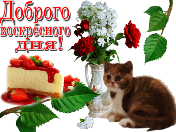 Открытки хорошего воскресенья