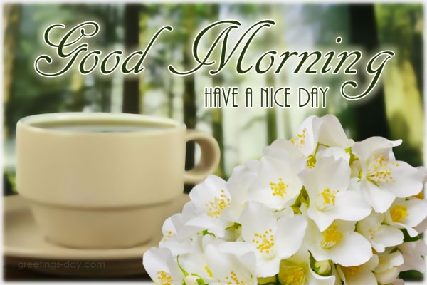 Good morning картинки