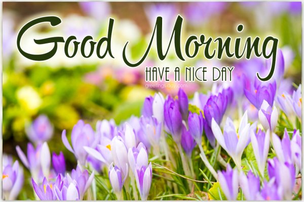 Good morning картинки с надписями