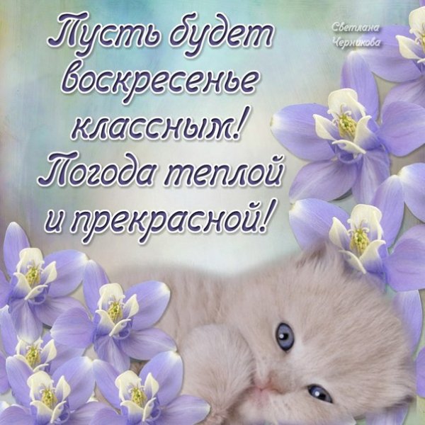 Поздравление с воскресеньем