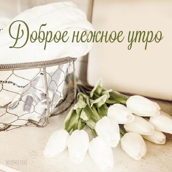 Стильные открытки хорошего дня