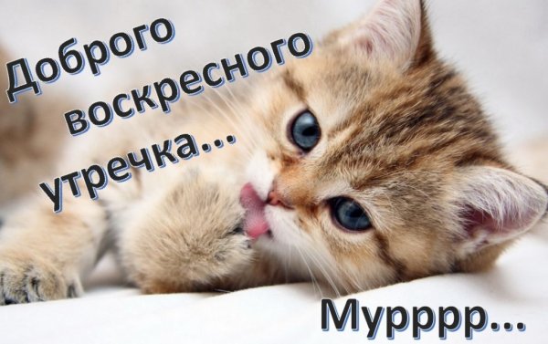 Воскресенье картинки прикольные