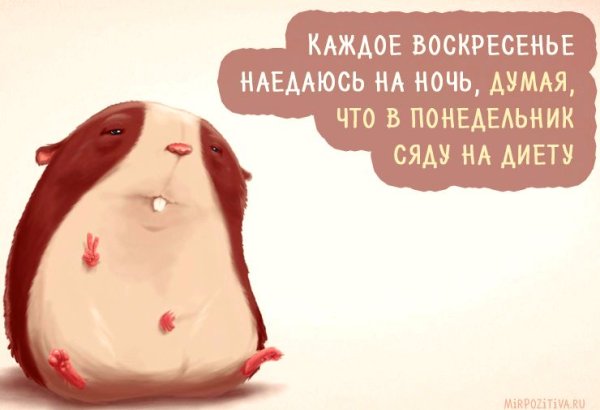 С воскресеньем с юмором