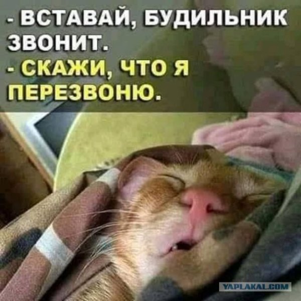 Проснулся прикол