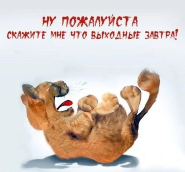 Воскресенье выходной цитаты