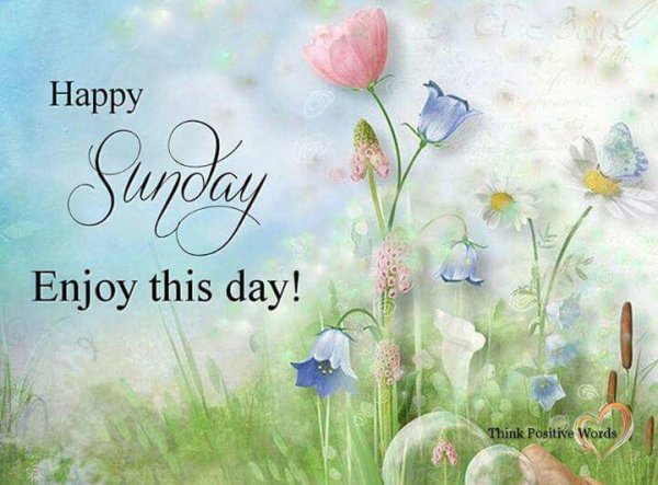 Открытки Happy Sunday