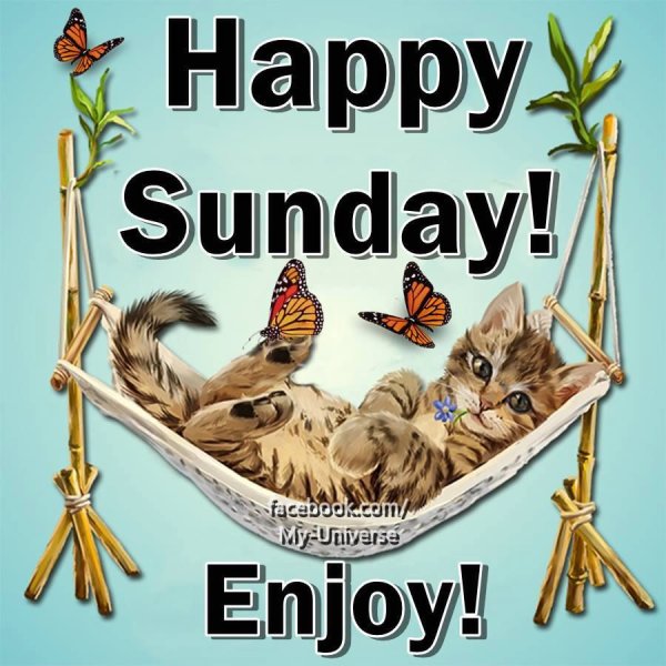 Happy Sunday
