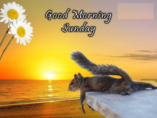 Пожелания good morning