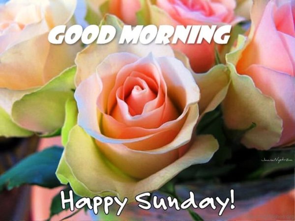 Happy Sunday