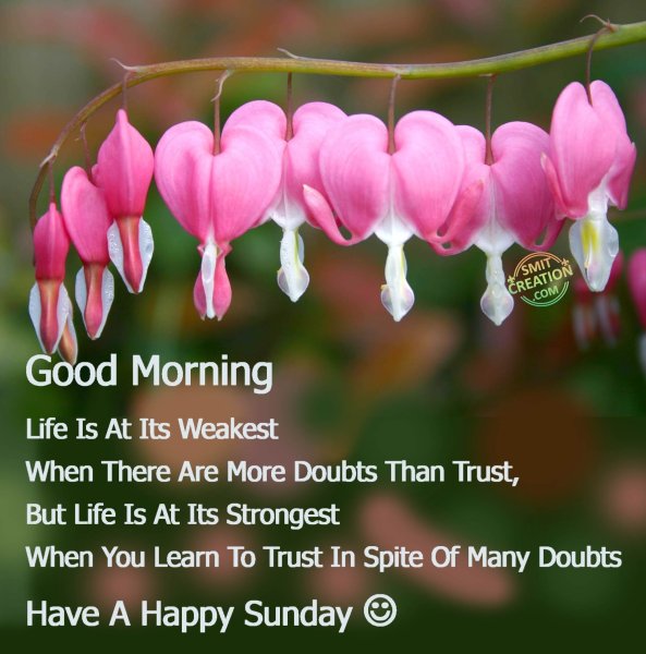 Good morning Sunday