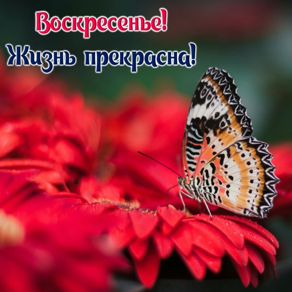 Поздравление с воскресеньем