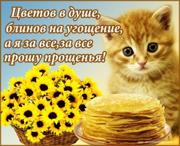 Поздравления с прощенным воскресеньем и Масленицей