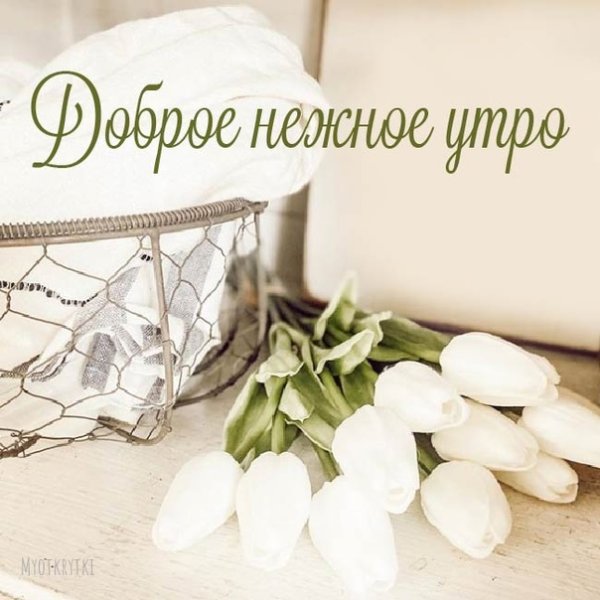 Нежные открытки с добрым утром