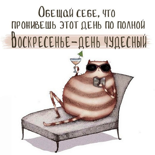 Воскресенье выходной цитаты