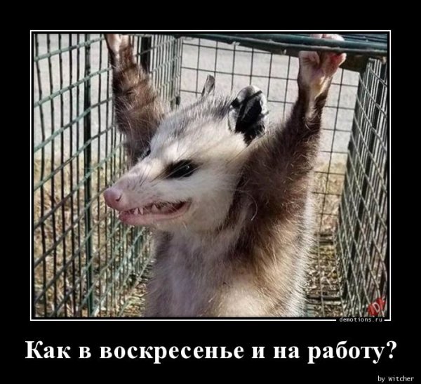 Воскресенье на работу прикольные
