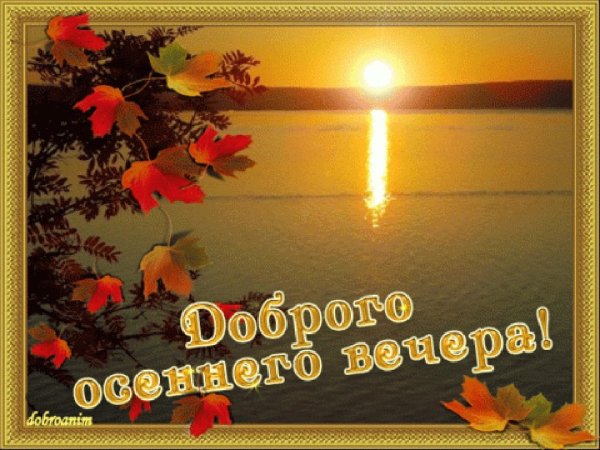 Доброго августовского вечера