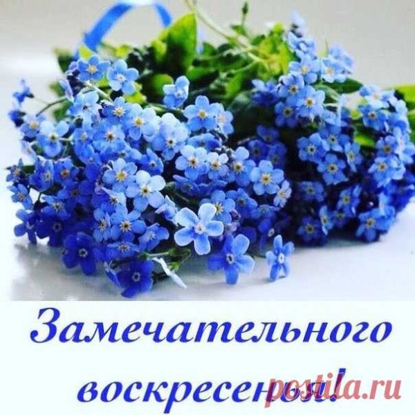Доброе утро незабудки