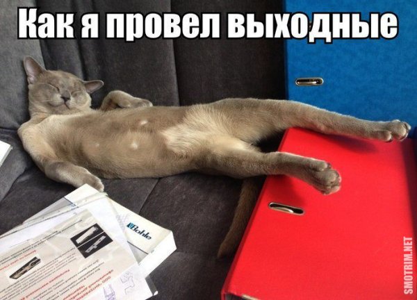 Воскресенье приколы