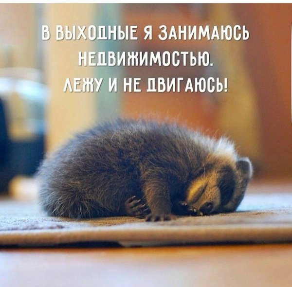 Утро очень странный предмет
